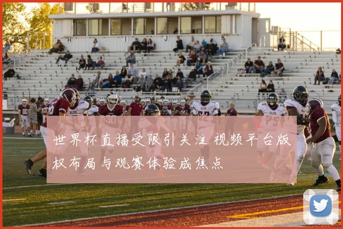世界杯直播受限引关注 视频平台版权布局与观赛体验成焦点