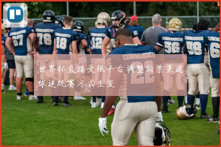 世界杯直播受限平台调整购票渠道球迷观赛方式生变
