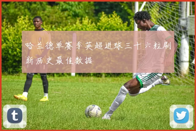 哈兰德单赛季英超进球三十六粒刷新历史最佳数据