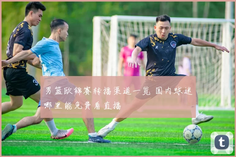 男篮欧锦赛转播渠道一览 国内球迷哪里能免费看直播