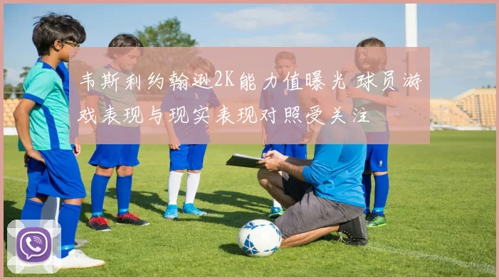 韦斯利约翰逊2K能力值曝光 球员游戏表现与现实表现对照受关注