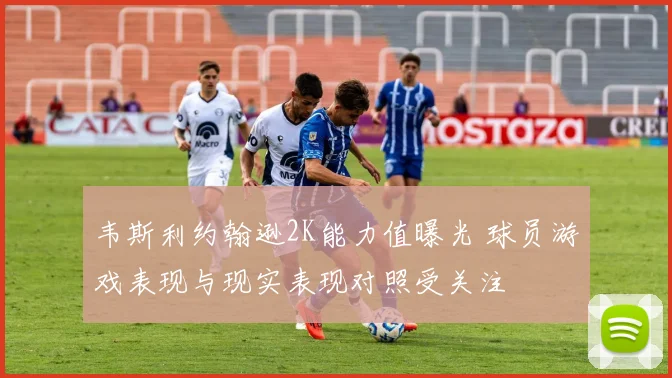 韦斯利约翰逊2K能力值曝光 球员游戏表现与现实表现对照受关注